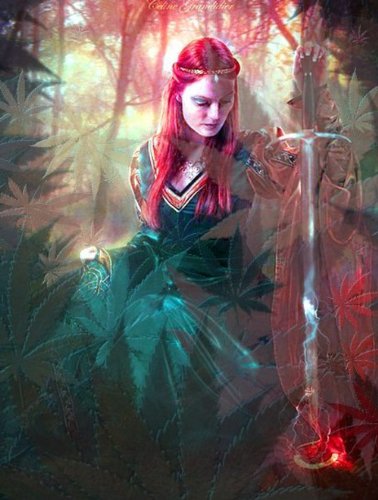 Of Pain, Poetry and Pot (English Edition)