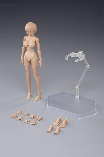 1/12 Scale Female Body,6inch Female Joint Flexible Action Figure Body with Head Sculpt&Stand Collection (Suntan Skin, Huge Bust) - Suntan Skin - Huge Bust