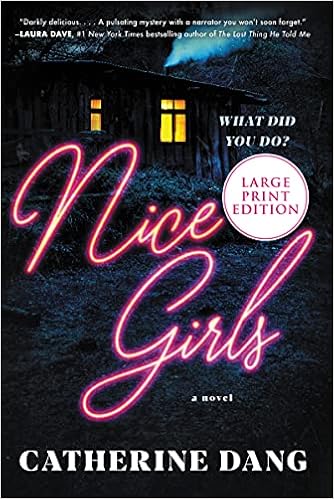 Nice Girls: A Novel book cover