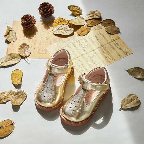Image of GINFIVE Toddler Girls Dress Shoes Little Kids Flats School Mary Janes Shoes