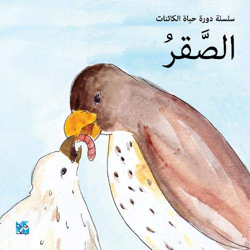 Falcon by HBKU Press (Paperback Book)
