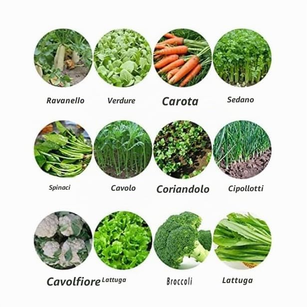 Seminatrice di precisione per seminatrice a fila, spargitori da giardino, piante di canapa, prezzemolo, cavolo, ravanello, ecc. per piccoli giardini
