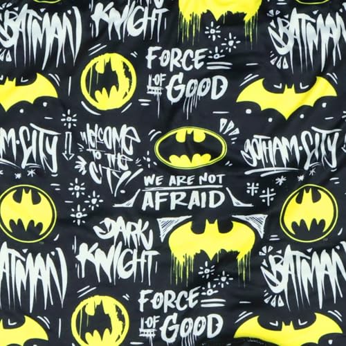 INTIMO DC Comics Batman Boxers Men's Dark Knight Sayings Tight Fit Adult Underwear Briefs3