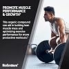 BioEmblem Creatine Monohydrate Powder - Unflavored Micronized Creatine Easily Mixes - Muscle Strength, Workout Recovery, Exercise Performance - 300g Creatine Supplement - Non-GMO, Vegan