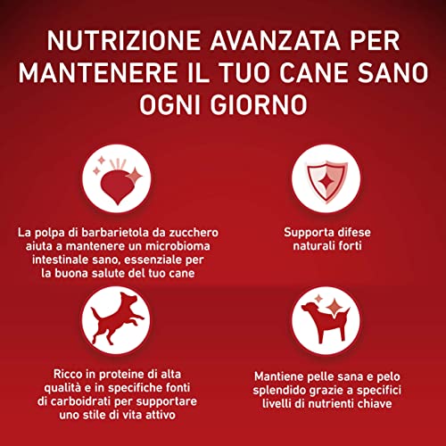 Purina One Mini Active für Hunde unter 10 kg, Kroketten mit Huhn und Reis, 8 Packungen à 800 g
