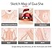 2 in 1 Electric Gua Sha Scrapping Massager and Cupping Therapy Tool, Handheld Physical Therapy Gua Sha Massage Device with Heat and Negative Pressure