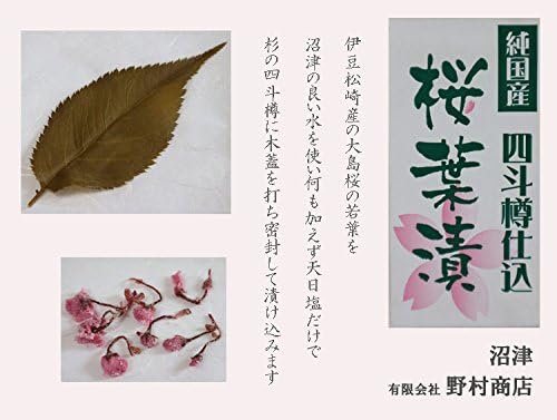 Amazon 桜の葉 塩漬け 純国産 無添加 四斗樽仕込 桜葉漬 Sサイズ50枚 2 野村商店 純国産 無添加 四斗樽仕込 桜葉漬 塩漬 通販
