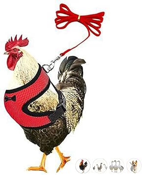 Chicken Harness,Duck Harness and Leash Set Adjustment Mesh, Red S
