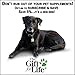 The Gift For Life Canine: Champion Your Dog's Health Journey!