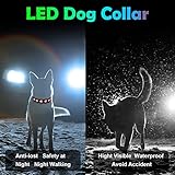 AUAUY Hundehalsband Leuchtend, LED Leuchthalsband Hunde Halsband USB Wiederaufladbar Wasserdichtes für Kleine Mittlere Große Haustier Einstellbar Sicherheit Kragen mit 3 Beleuchtungsmodi (Rot-M)