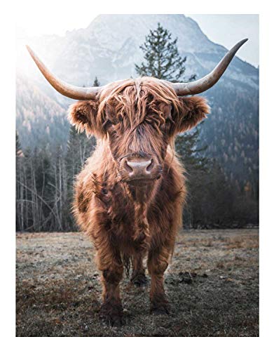 Möbel Jack Keilrahmenbild Wandbild Dekobild Kunstdruck auf Leinwand | Mehrfarbig | Büffel | 46x61 cm