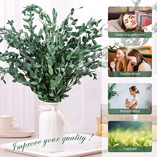 Dried Eucalyptus Bundle For Shower Hanging, 17” 8-15 Pcs Real Natural Preserved Eucalyptus Leaves Plant For Shower Head Wreath Flowers Arrangement Home #TOP1