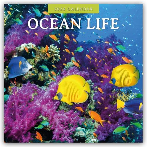 Ocean Life – Leben im Ozean 2026 – 16-Monatskalender: Original Red Robin Publishing Ltd-Kalender [Mehrsprachig] [Kalender] (Wall-Kalender)