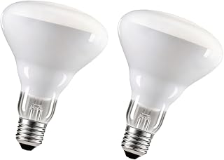 BR30 40W Flood Incandescent Light Bulbs, E26 Base, 2-Pack