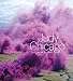 Chicago, J: Judy Chicago: New Views - Chicago, Judy, Sterling, Susan Fisher, Obrist, Hans Ulrich, Katz, Jonathan D. Nussbaum, Martha C.
