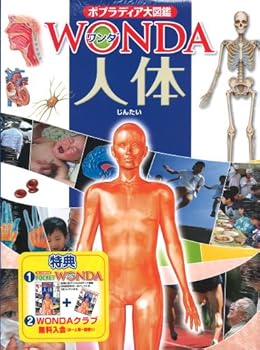 JP Oversized ?? (?????????WONDA) [Japanese] Book