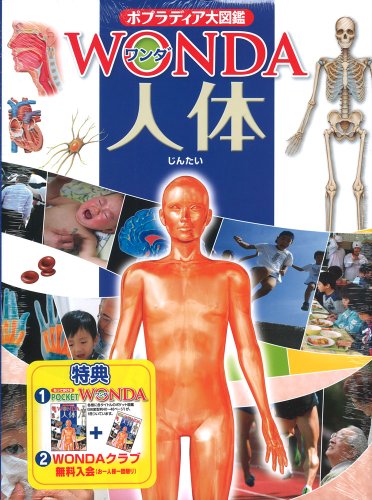 人体 (ポプラディア大図鑑WONDA)