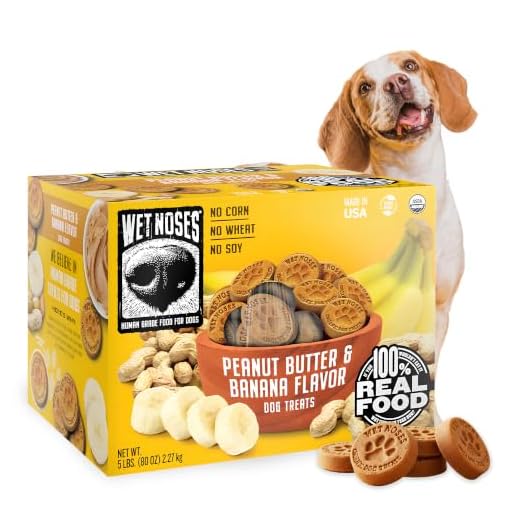 Wet Noses Organic Crunchy Dog Treats – for All Pet Sizes, Breeds – Senior Dog Snack – 100% Human-Grade – Delicious Chews for Dogs – Grain-Free Peanut Butter & Banana, 5 Lb. Package may vary.