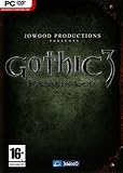 gothic 3 requisitos minimos  Gothic 3 Forsaken Gods [Importación italiana]