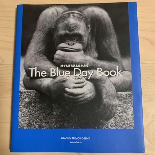 ブルーデイブックのサムネイル