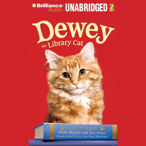 Dewey the Library Cat