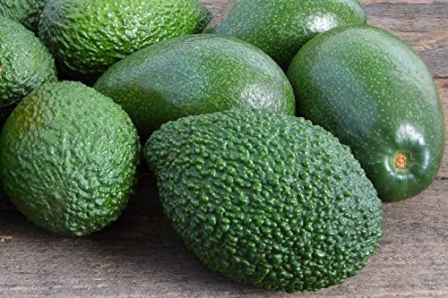 Avocados, fresh, hass, 8 pack, Keto and Paleo Diet Friendly,