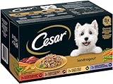 Cesar Hundefutter Nassfutter Landküche Vielfalt in Sauce, 1er Pack (1 x 3.6 kg)