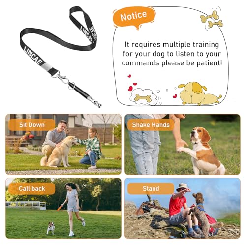 Training Tips with LINCAE Whistle