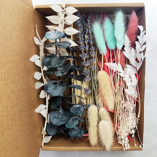 Kit natural de flores secas para manualidades y decoración miniatura 4