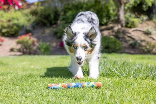 Image of Chuckit! EcoFetch Fetch Stick Dog Toy, Pack of 1, for All Breed Sizes (EcoFetch Stick) | Mentally and physically engaging, suits all breed sizes, pack of 1, built to last through games of chase and retrieve daily