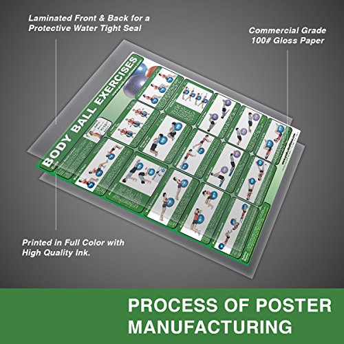 Productive Fitness Core Body Ball Exercise Poster