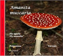 Amanita Muscaria ~ Fly agaric (FUNGI Book 30)