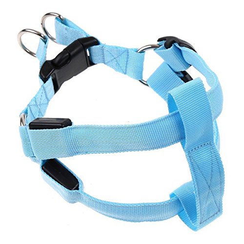 Futaba Dog LED Harness Flashing Light 3 Mode - Blue - Large (B01ELGRSP8) Amazon Price History, Amazon Price Tracker