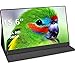 Produktbild Volwco Tragbarer Monitor USB-Monitor, tragbarer Monitor für Laptop, 15,6-Zoll-Computer-Display 1920 × 1080 Full-HD-IPS-Bildschirm USB-C-Gaming-Monitor mit Typ-C-Mini-HDMI für Laptop-PC-Mac-Telefon