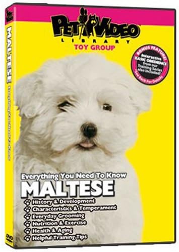 MALTESE Everything You Should Know! - Dog & Puppy Training Bonus Included