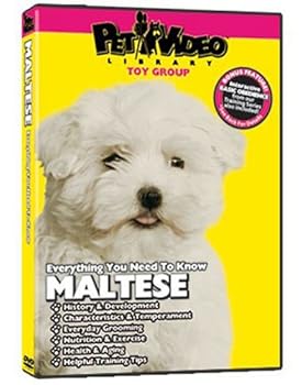 DVD MALTESE DVD: Everything You Should Know! - Dog & Puppy Training Bonus Included Book