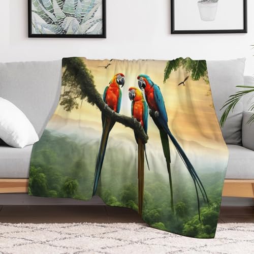 Manta de papagayo de franela suave y cálida mullida para cuatro estaciones 100x130 cm 3