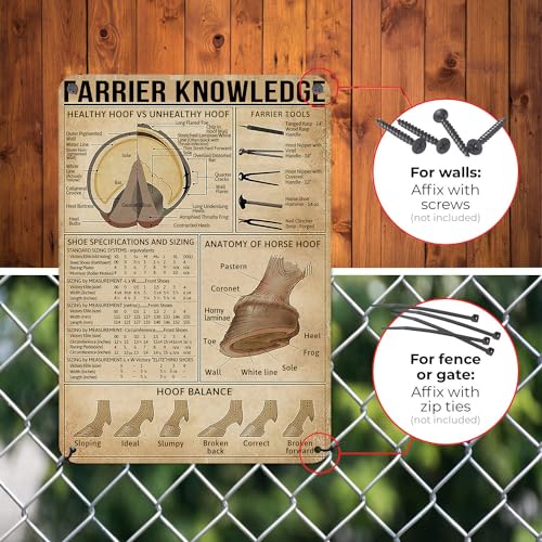 Image of HYBLOM Farrier Knowledge Horse Hoof Anatomy Tin Sign - Educational Retro Metal Poster for Horse Lovers, Cowboy, Home, School, Farm, and Club Wall Decor, 12x16 Inches