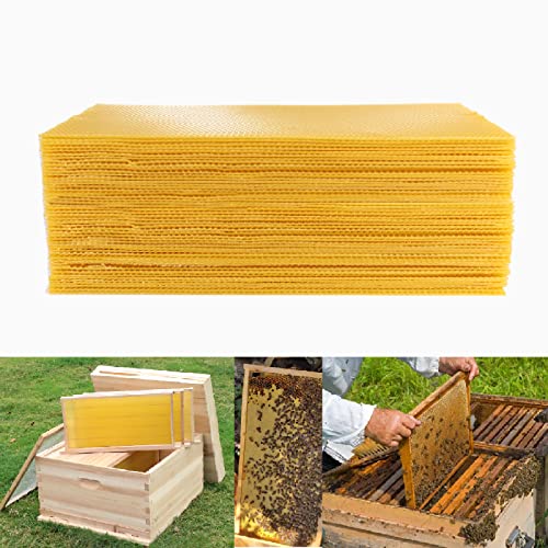 Cocaburra 60 Pcs Langstroth Bee Foundation Sheets Deep, 9' Bee Frames Foundation Wax Sheets, Deep Bee Wax Foundation for Bee Frames (16 1/3 Inch X 8 1/2 Inch)