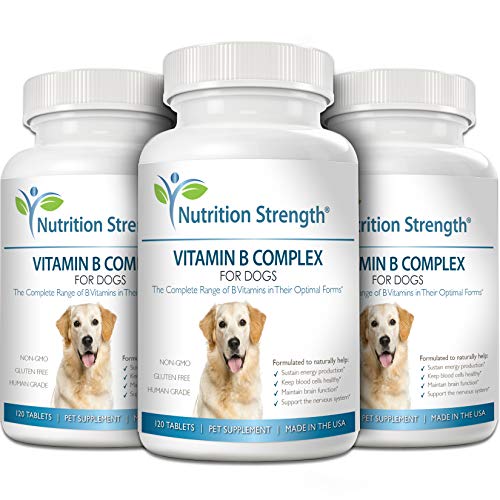 image for Nutrition Strength Vitamin B for Dogs, Complete B Complex for Dogs, Pr