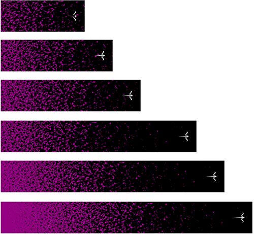 White Water Archery Laminated Purple Spray Paint Fade Arrow Wraps 15 Pc Pack Choose Length Width (8, 1)