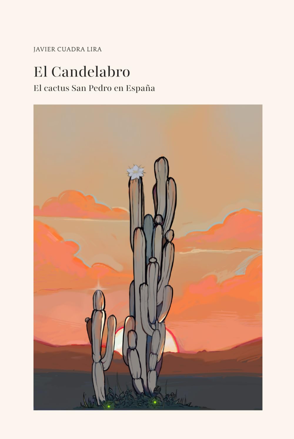 El CACTUS SAN PEDRO EN ESPAÑA. EL CANDELABRO