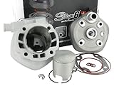 Mit den entsprechenden Komponenten, und unbearbeitet, erreicht man bereits um die 17-19 PS