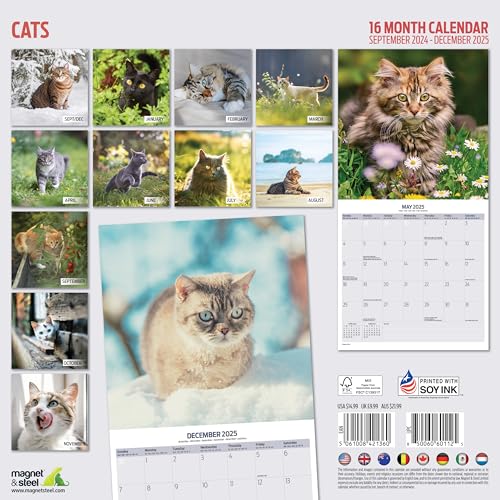 Cat 2025 Traditional Calendar, Various - Image 2