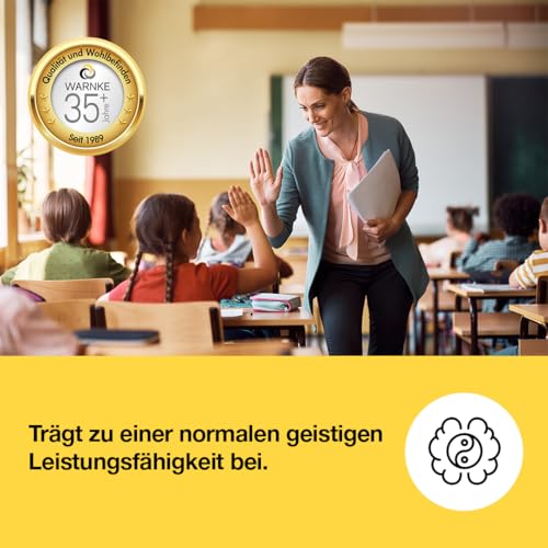 Vitamin B5 500 mg - 100 Kapseln Pantothensäure, Hochdosiert, Vegan | Warnke Vitalstoffe - Deutsche Apothekenqualität