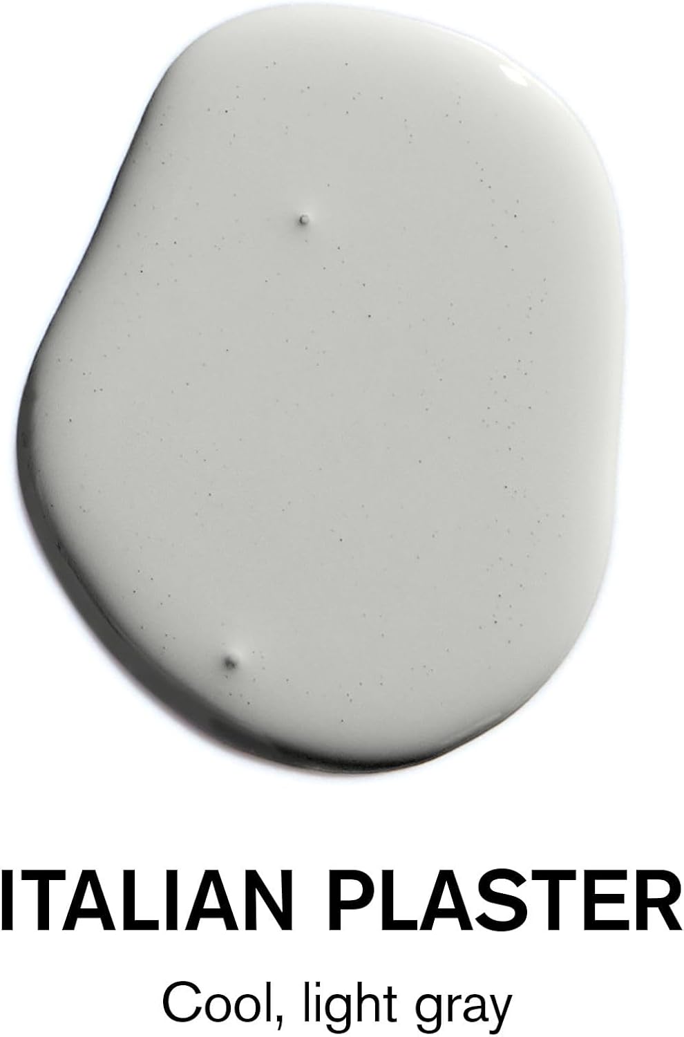 BACKDROP | Premium Interior Paint | Standard Semi Matte, Low Sheen Finish | Self-Priming, Low VOC, Green Wise Certified | ITALIAN PLASTER – Cool, light gray | 1 Gallon