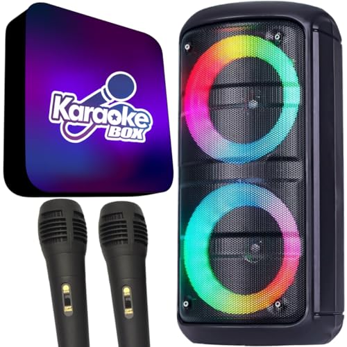 Karaoke Profissional Completo C/Caixa De Som E 2 Microfones