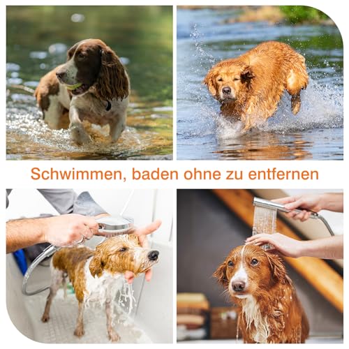 DEWEL Zeckenhalsband für Hunde - 8 Monate Schutz- 63.5 cm verstellbar für alle Größen - Wasserdicht Hund Flohhalsband, Flohschutz Halsband für Hunde (2 Einheiten)