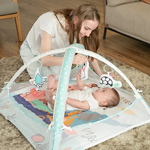 Ladida Baby Activity Gym, Play Gym With Ball Pit - 3 Stage Play Gym Padded Tummy Time Mat With Stem Based Toys For Sensory And Motor Skill Development, Newborn To Toddler,Include 10 Balls #TOP6