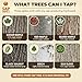 SAP HAPPY Maple Sap Spiles (25 Count) — 5/16” Tree Saver Taps for Maple Trees, Food-Grade Polymer with Friction-Fit Seal | Reusable Ecolo Tapping Spouts, Connects to 5/16” Tubing